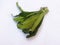Leafy vegetable - sawtooth coriander or culantro.Â 